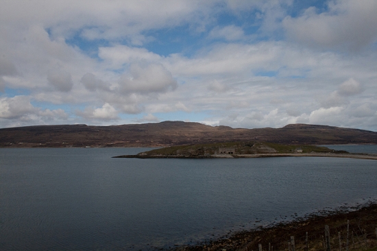 IMG_6765.jpg